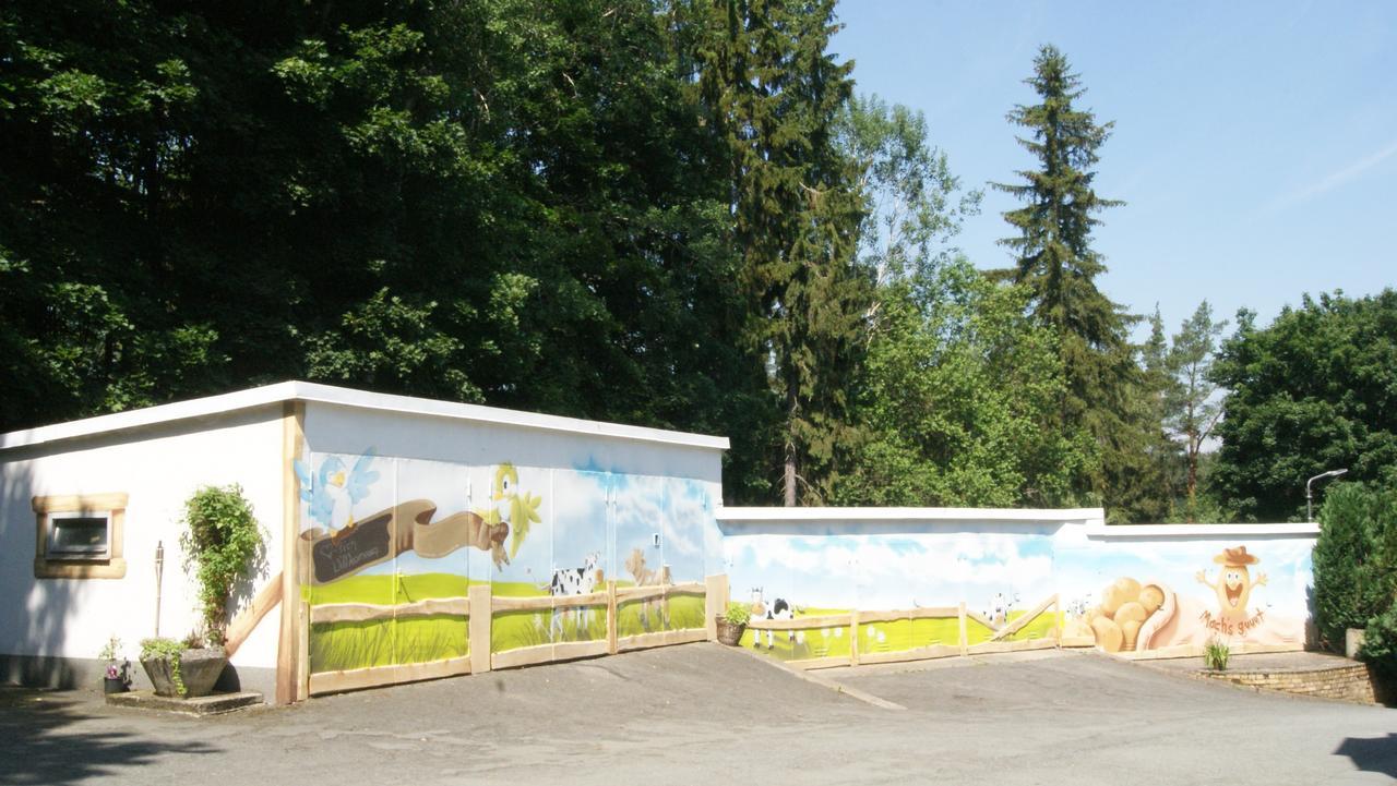 Hotel Carolaruh Bad Elster Zewnętrze zdjęcie
